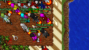 Netateo on screen