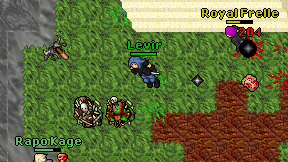 Levir on screen