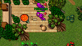 Miietek on screen