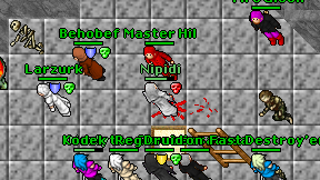 Nipidi on screen
