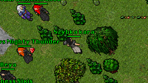Szybka kara on screen