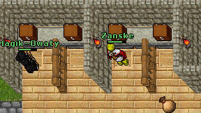 Zanske on screen