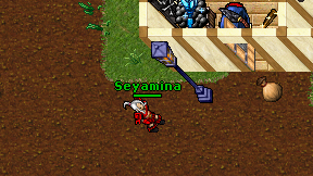 Seyamina on screen
