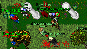 Blond Hamed on screen