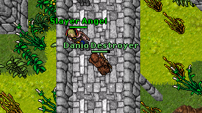 Danio Destroyer on screen