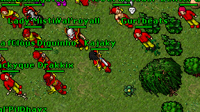 Kajaky on screen