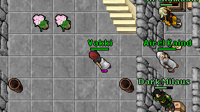 Vakki on screen