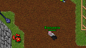 Konaxia on screen