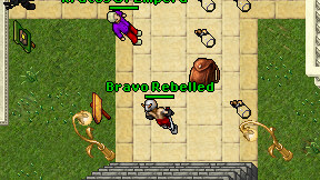 Bravo Rebelled on screen