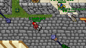 Lambari on screen
