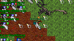 Cracnish on screen