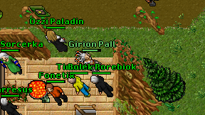 Girion Pall on screen