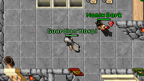 Guardian'Hospi on screen