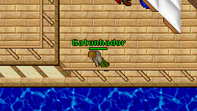 Gatunhador on screen