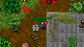 Ownerted on screen