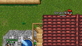 Dran Vika on screen