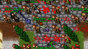 Qurier'exe on screen