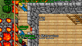 Erig on screen