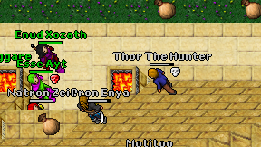 Thor The Hunter on screen