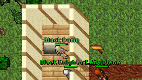 Black Dame on screen