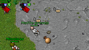 Moffe greven on screen