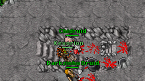 Chidruid on screen