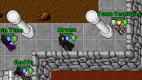 Arcex on screen