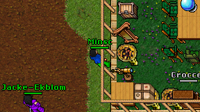Minsc on screen