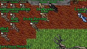 Endy Zerion on screen