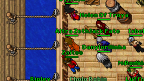 Altra Zeth on screen
