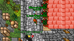 Lich Warrior on screen