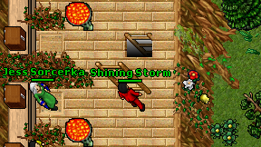 Shining Storm on screen