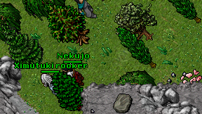 Ximutuki rooker on screen