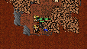 Palleon on screen