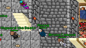 Husag on screen