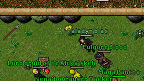 Paladyn blac on screen