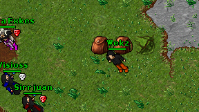 Wekz on screen