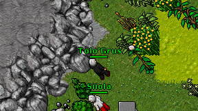 Tolo'Grus on screen