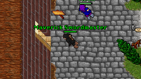 Maverick Swordmaster on screen