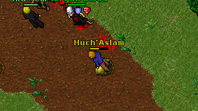 Huch'Aslam on screen