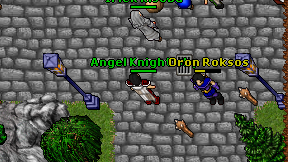 Angel Knight'sky on screen