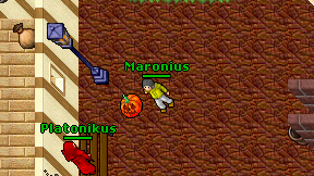 Maronius on screen