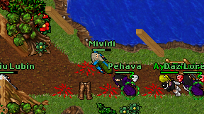 Mividi on screen