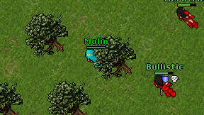 Molin on screen
