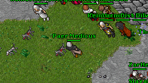 Paer Medicus on screen