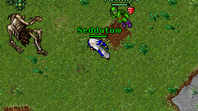 Seddatow on screen