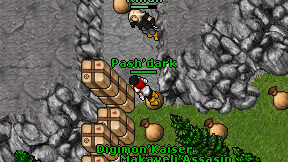 Pash'dark on screen