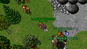 Lady-Honey on screen