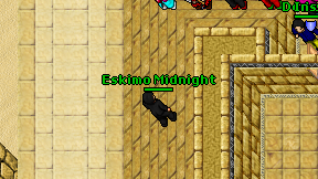 Eskimo Midnight on screen