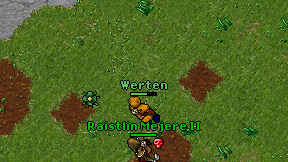 Werten on screen